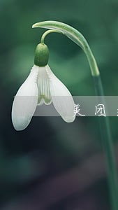 美团逾期骚扰其他人 美团逾期骚扰其他人