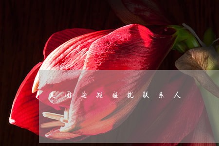 美团逾期骚扰联系人 美团逾期骚扰联系人