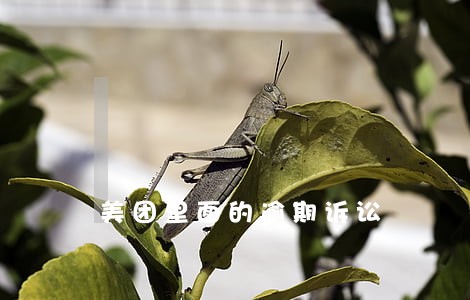 美团里面的逾期诉讼 美团里面的逾期诉讼