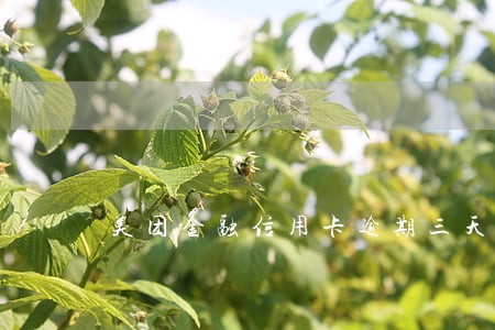 美团金融信用卡逾期三天 美团金融信用卡逾期三天