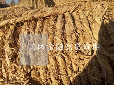 美团金融信贷逾期