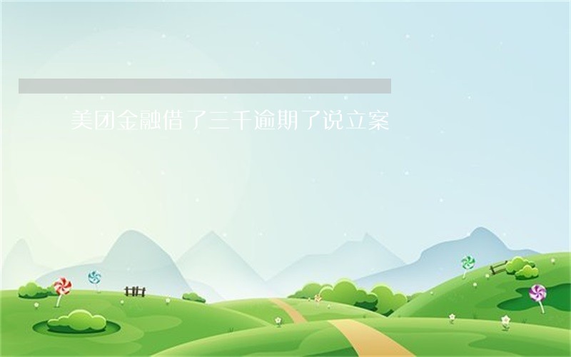 美团金融借了三千逾期了说立案