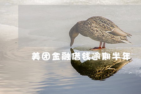美团金融借钱逾期半年 美团金融借钱逾期半年