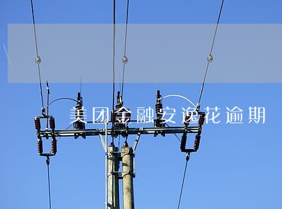 美团金融安逸花逾期 美团金融安逸花逾期