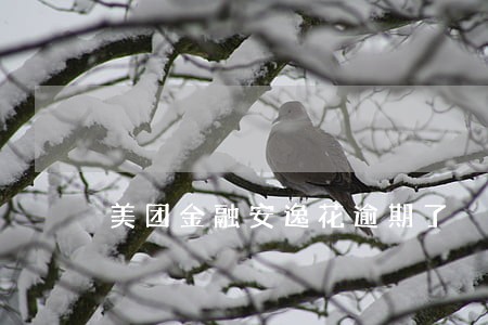 美团金融安逸花逾期了 美团金融安逸花逾期了