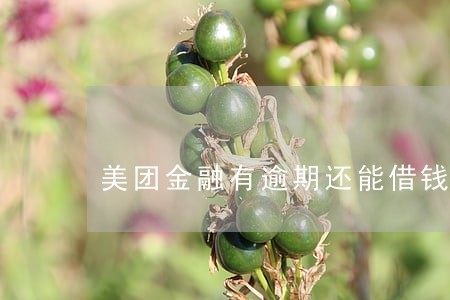 美团金融有逾期还能借钱吗 美团金融有逾期还能借钱吗