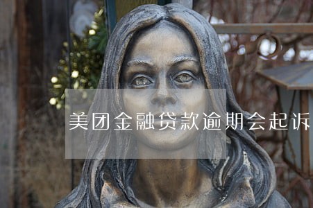 美团金融贷款逾期会起诉