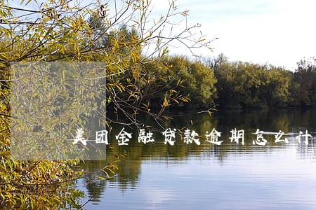 美团金融贷款逾期怎么计息 美团金融贷款逾期怎么计息