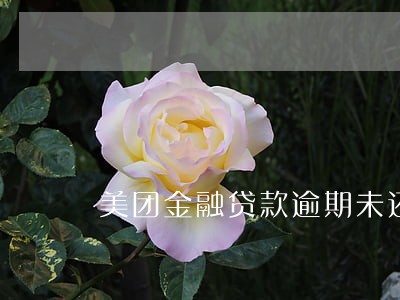 美团金融贷款逾期未还会怎样 美团金融贷款逾期未还会怎样