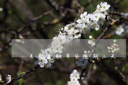 美团金融车贷逾期三天 美团金融车贷逾期三天