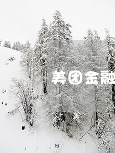 美团金融逾期100多天 美团金融逾期100多天