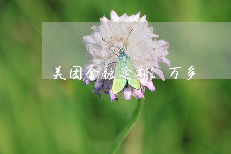 美团金融逾期1万多 美团金融逾期1万多