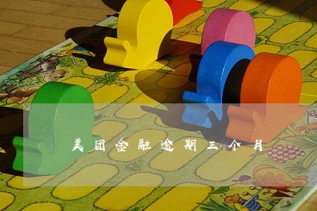 美团金融逾期三个月