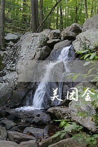 美团金融逾期三千
