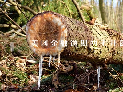 美团金融逾期两千开庭审理 美团金融逾期两千开庭审理