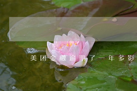 美团金融逾期了一年多影响大吗 美团金融逾期了一年多影响大吗