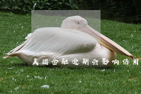 美团金融逾期会影响信用吗 美团金融逾期会影响信用吗