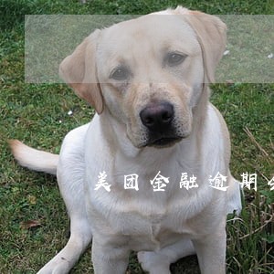 美团金融逾期会有啥后果 美团金融逾期会有啥后果