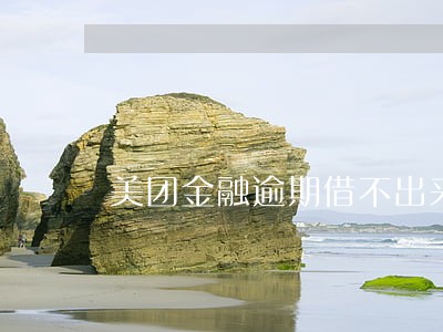美团金融逾期借不出来了 美团金融逾期借不出来了