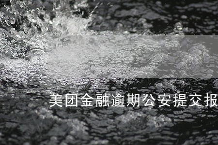美团金融逾期公安提交报案文书 美团金融逾期公安提交报案文书