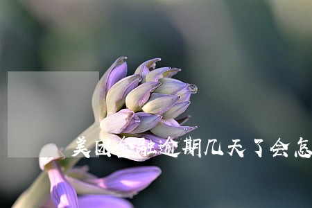 美团金融逾期几天了会怎么样 美团金融逾期几天了会怎么样