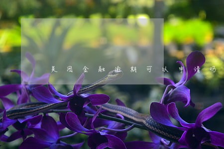 美团金融逾期可以申请吗 美团金融逾期可以申请吗