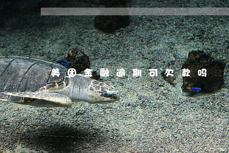 美团金融逾期可欠款吗 美团金融逾期可欠款吗