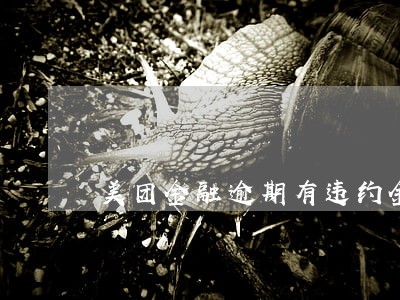 美团金融逾期有违约金吗 美团金融逾期有违约金吗