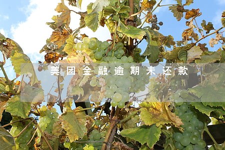 美团金融逾期未还款 美团金融逾期未还款