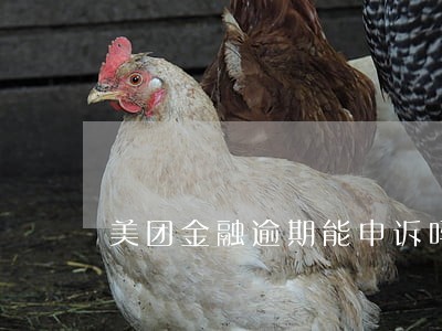 美团金融逾期能申诉吗 美团金融逾期能申诉吗