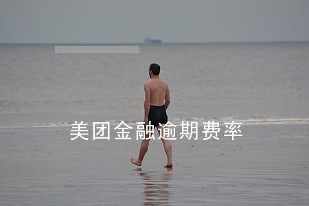 美团金融逾期费率 美团金融逾期费率