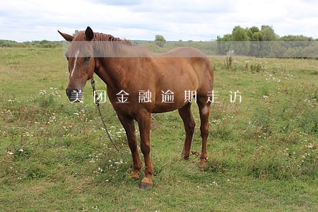 美团金融逾期走访