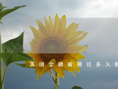 美团金融逾期过多久恢复