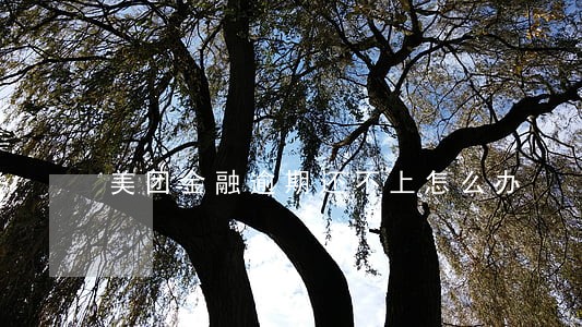 美团金融逾期还不上怎么办 美团金融逾期还不上怎么办