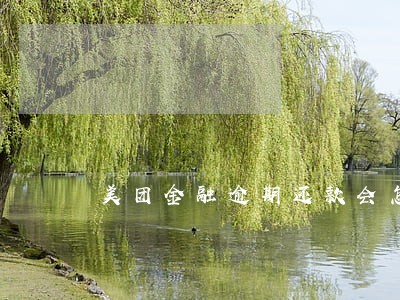 美团金融逾期还款会怎么样 美团金融逾期还款会怎么样
