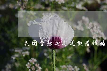 美团金融逾期还能借钱吗 美团金融逾期还能借钱吗