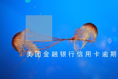 美团金融银行信用卡逾期 美团金融银行信用卡逾期