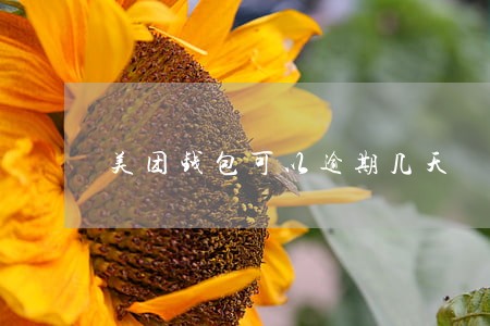 美团钱包可以逾期几天 美团钱包可以逾期几天