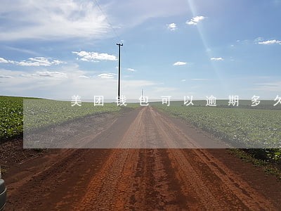 美团钱包可以逾期多久 美团钱包可以逾期多久