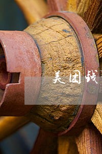 美团钱包逾期一年怎么搞 美团钱包逾期一年怎么搞