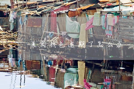 美团钱包逾期了怎么办 美团钱包逾期了怎么办