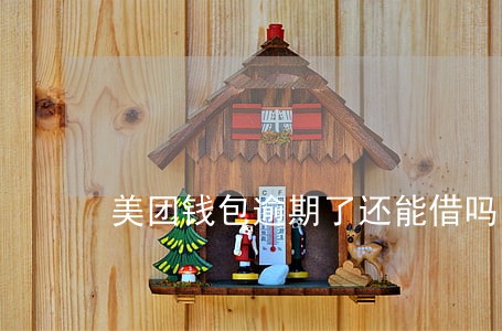 美团钱包逾期了还能借吗
