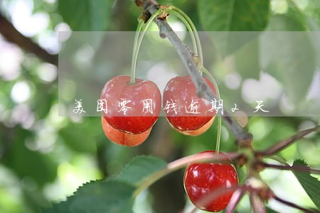 美团零用钱逾期2天 美团零用钱逾期2天