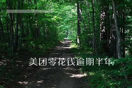 美团零花钱逾期半年 美团零花钱逾期半年