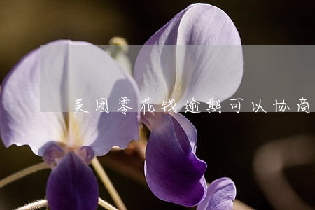 美团零花钱逾期可以协商吗 美团零花钱逾期可以协商吗