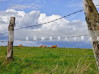 美团额度多久才算逾期 美团额度多久才算逾期