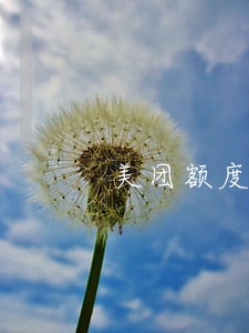 美团额度逾期 美团额度逾期