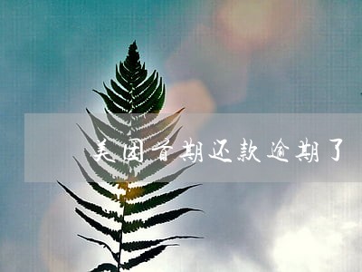 美团首期还款逾期了 美团首期还款逾期了