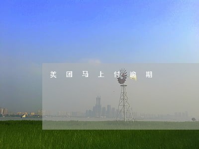 美团马上付逾期 美团马上付逾期