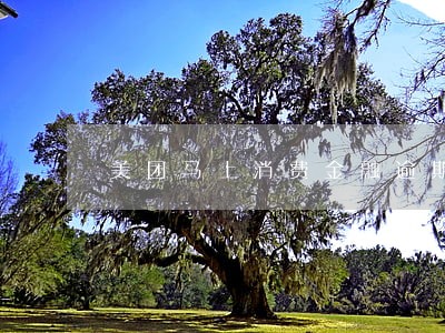 美团马上消费金融逾期会被告吗 美团马上消费金融逾期会被告吗